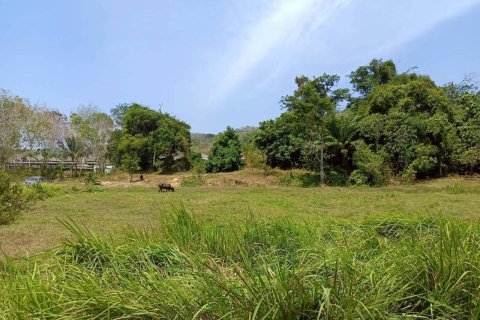 Земельный участок в Пхукете, Таиланд 22400м2  № 147654 - фото 2