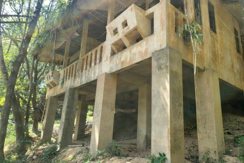 Земельный участок в Сураттхани, Таиланд 48000м2  № 153444 - фото 8