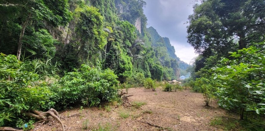 Земельный участок в Сураттхани, Таиланд 48000м2  № 153444