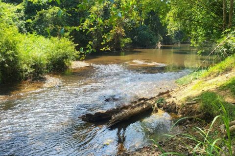 Земельный участок в Сураттхани, Таиланд 48000м2  № 153444 - фото 5