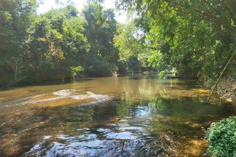 Земельный участок в Сураттхани, Таиланд 48000м2  № 153444 - фото 2