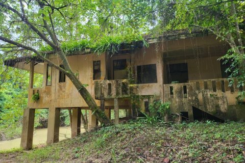 Земельный участок в Сураттхани, Таиланд 48000м2  № 153444 - фото 7