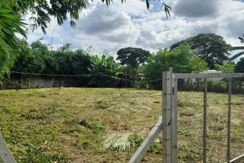 Land in Udon Thani, Thailand 924 sq.m. № 160701 - photo 2