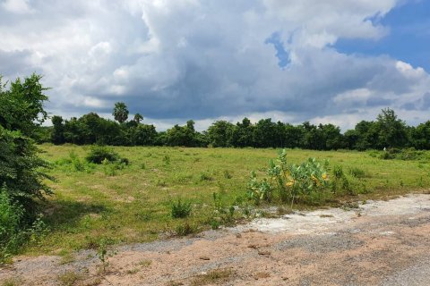 Земельный участок в Накхонратчасиме, Таиланд 41424м2  № 161274 - фото 3