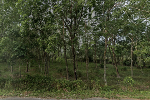 Terrain à Mai Khao, Thaïlande 9600 m2 № 156005 - photo 4