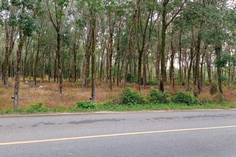 Terrain à Mai Khao, Thaïlande 9600 m2 № 156005 - photo 2