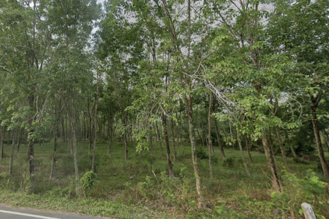 Terrain à Mai Khao, Thaïlande 9600 m2 № 156005 - photo 3