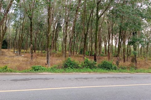 Terrain à Mai Khao, Thaïlande 9600 m2 № 156005 - photo 1