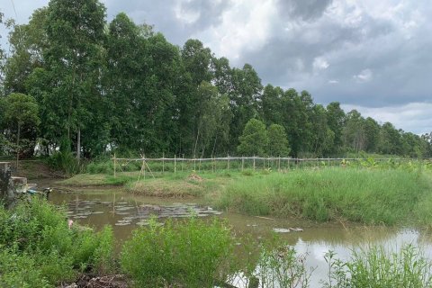 Земельный участок в Накхоннайоке, Таиланд 144000м2  № 156006 - фото 13