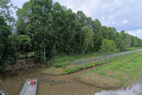 Земельный участок в Накхоннайоке, Таиланд 144000м2  № 156006 - фото 7