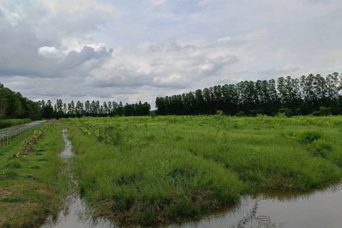 Земельный участок в Накхоннайоке, Таиланд 144000м2  № 156006 - фото 10