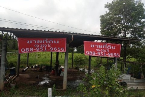 Земельный участок в Накхоннайоке, Таиланд 144000м2  № 156006 - фото 3