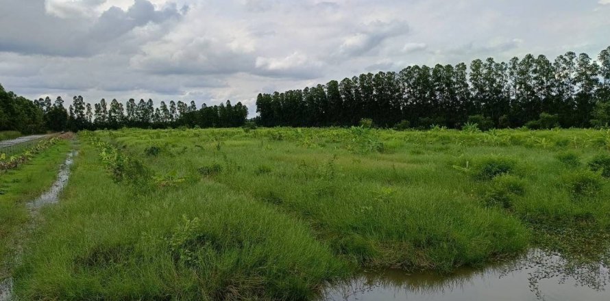 Земельный участок в Накхоннайоке, Таиланд 144000м2  № 156006