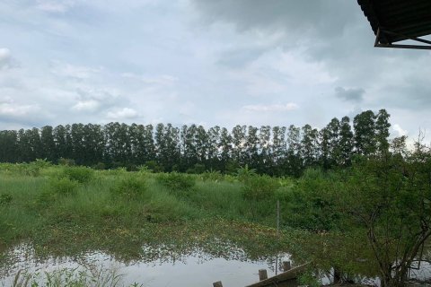 Земельный участок в Накхоннайоке, Таиланд 144000м2  № 156006 - фото 12