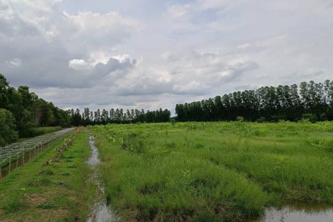 Земельный участок в Накхоннайоке, Таиланд 144000м2  № 156006 - фото 11