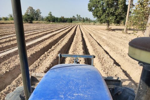 Земельный участок в Кхонкэне, Таиланд 116800м2  № 145412