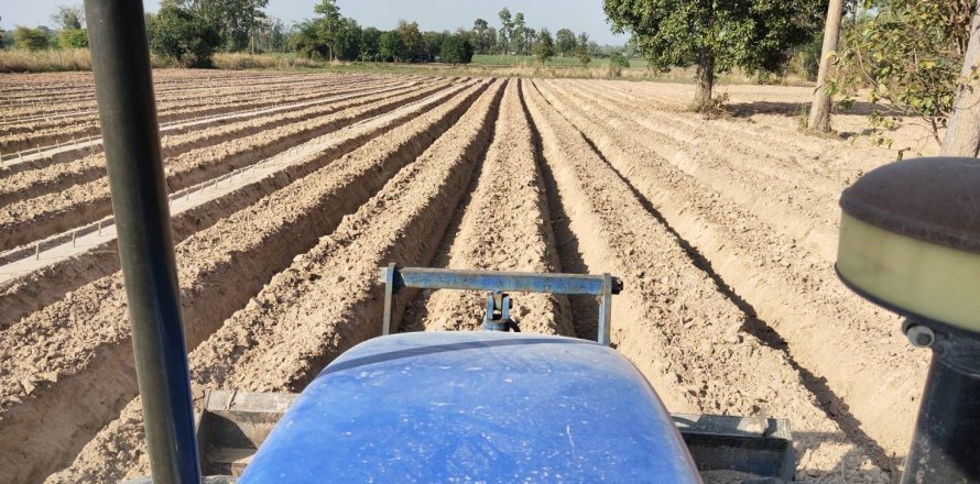 Земельный участок в Кхонкэне, Таиланд 116800м2 № 145412