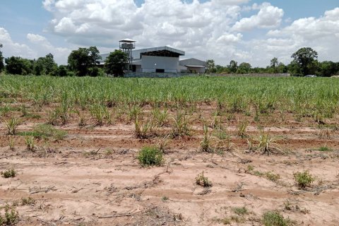 Земельный участок в Кхонкэне, Таиланд 116800м2 № 145412 - фото 4