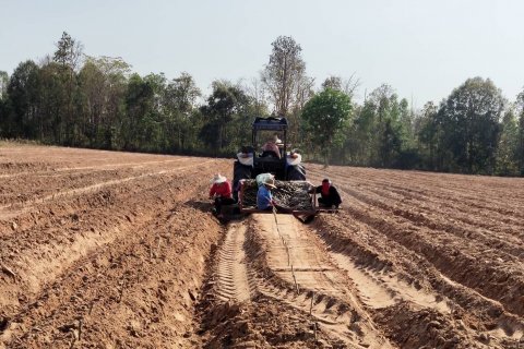 Земельный участок в Кхонкэне, Таиланд 116800м2 № 145412 - фото 2