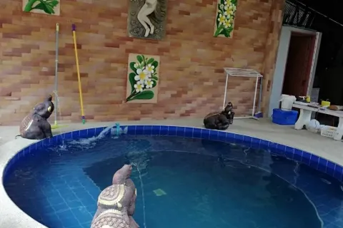 House in Phrae, Thailand 4 bedrooms № 169635 - photo 4