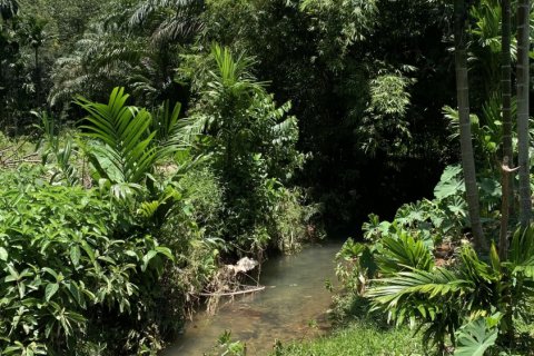 Terrain à Ko Lanta Yai, Thaïlande 22400 m2 № 161611 - photo 13