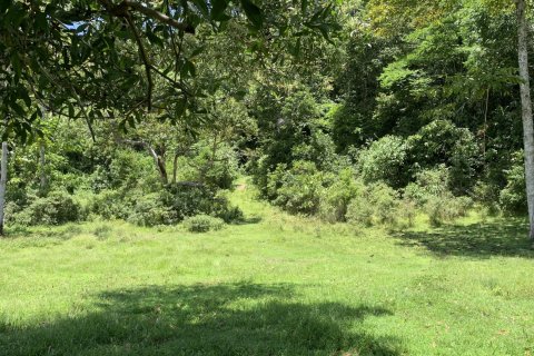 Terrain à Ko Lanta Yai, Thaïlande 22400 m2 № 161611 - photo 12