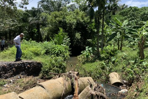 Terrain à Ko Lanta Yai, Thaïlande 22400 m2 № 161611 - photo 14