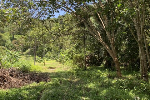 Terrain à Ko Lanta Yai, Thaïlande 22400 m2 № 161611 - photo 16