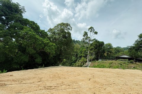 Land in Kathu, Thailand 3200 sq.m. № 160253 - photo 5
