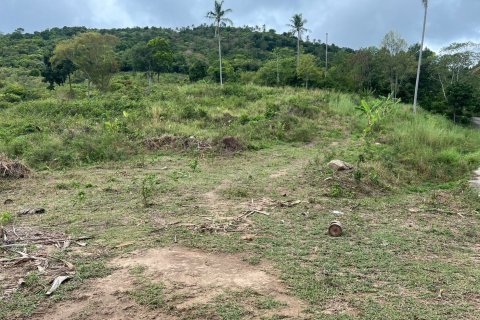 Land in Ko Samui, Thailand 1600 sq.m. № 160249 - photo 13