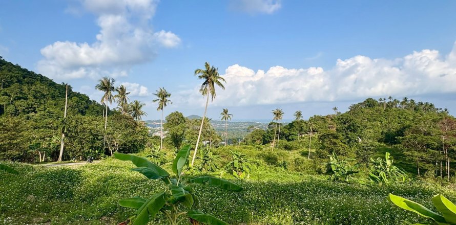 Land in Ko Samui, Thailand 1600 sq.m. № 160249