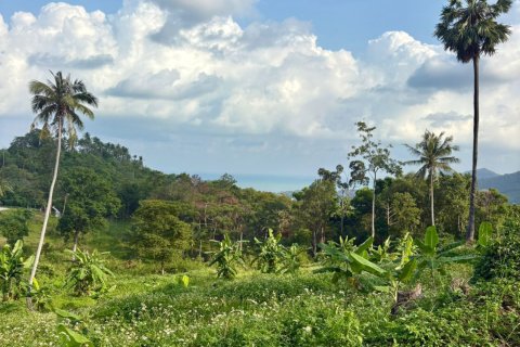 Land in Ko Samui, Thailand 1600 sq.m. № 160249 - photo 14