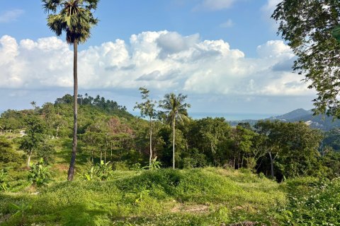 Land in Ko Samui, Thailand 1600 sq.m. № 160249 - photo 3
