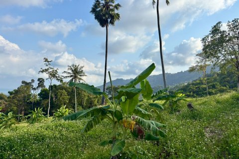 Land in Ko Samui, Thailand 1600 sq.m. № 160249 - photo 2