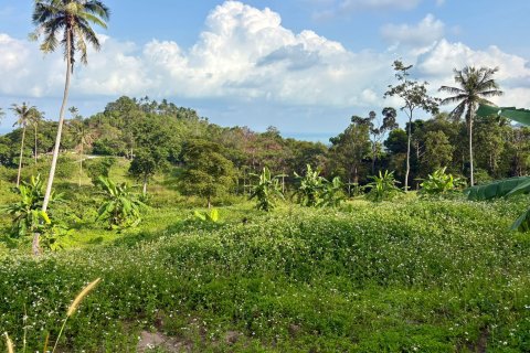 Land in Ko Samui, Thailand 1600 sq.m. № 160249 - photo 9