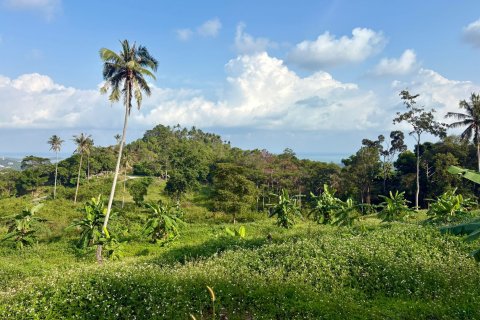 Terrain à Ko Samui, Thaïlande 1600 m2 № 160248 - photo 9