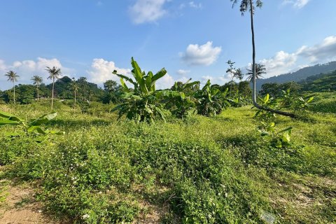 Terrain à Ko Samui, Thaïlande 1600 m2 № 160248 - photo 11