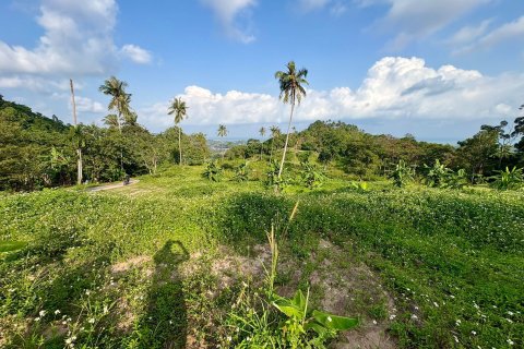 Terrain à Ko Samui, Thaïlande 1600 m2 № 160248 - photo 6