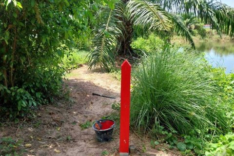 Terrain à Don Sak, Thaïlande 4532 m2 № 162178 - photo 6