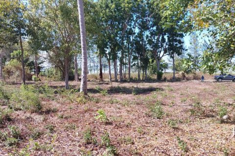 Terrain à Don Sak, Thaïlande 4532 m2 № 162178 - photo 5