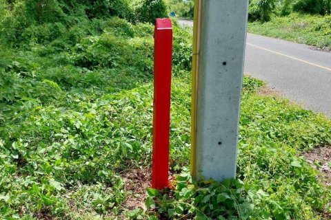 Terrain à Don Sak, Thaïlande 4532 m2 № 162178 - photo 3