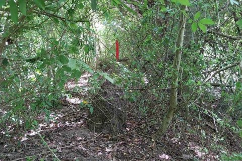 Terrain à Don Sak, Thaïlande 4532 m2 № 162178 - photo 15