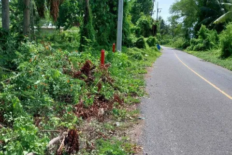 Terrain à Don Sak, Thaïlande 4532 m2 № 162178 - photo 4
