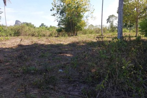 Terrain à Don Sak, Thaïlande 4532 m2 № 162178 - photo 11