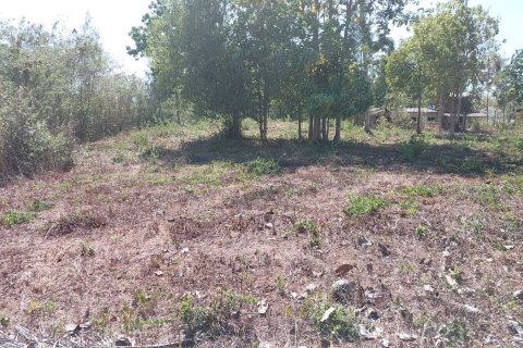 Terrain à Don Sak, Thaïlande 4532 m2 № 162178 - photo 8