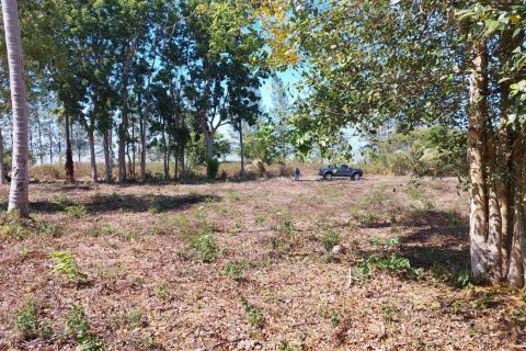 Terrain à Don Sak, Thaïlande 4532 m2 № 162178 - photo 7