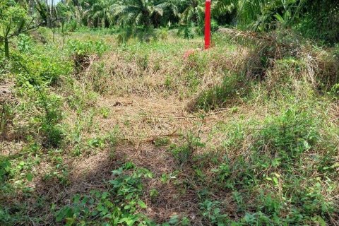 Terrain à Don Sak, Thaïlande 4532 m2 № 162178 - photo 2