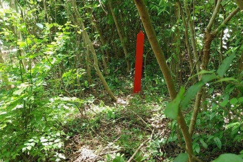 Terrain à Don Sak, Thaïlande 4532 m2 № 162178 - photo 9