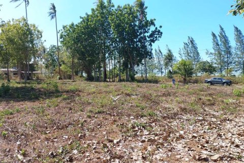 Terrain à Don Sak, Thaïlande 4532 m2 № 162178 - photo 13