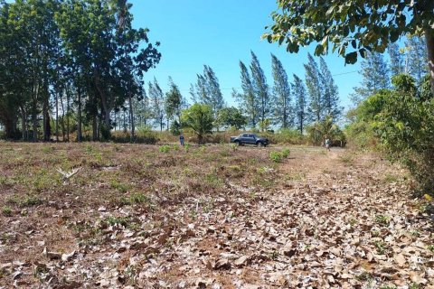 Terrain à Don Sak, Thaïlande 4532 m2 № 162178 - photo 10